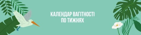 Календар вагітності по тижнях